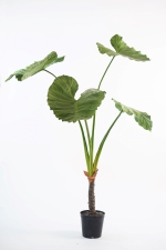 Kunstplant Alocasia deluxe 175cm